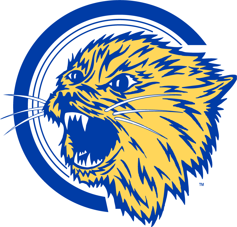 Montana State Bobcats 1965-1995 Alternate Logo t shirts iron on transfers